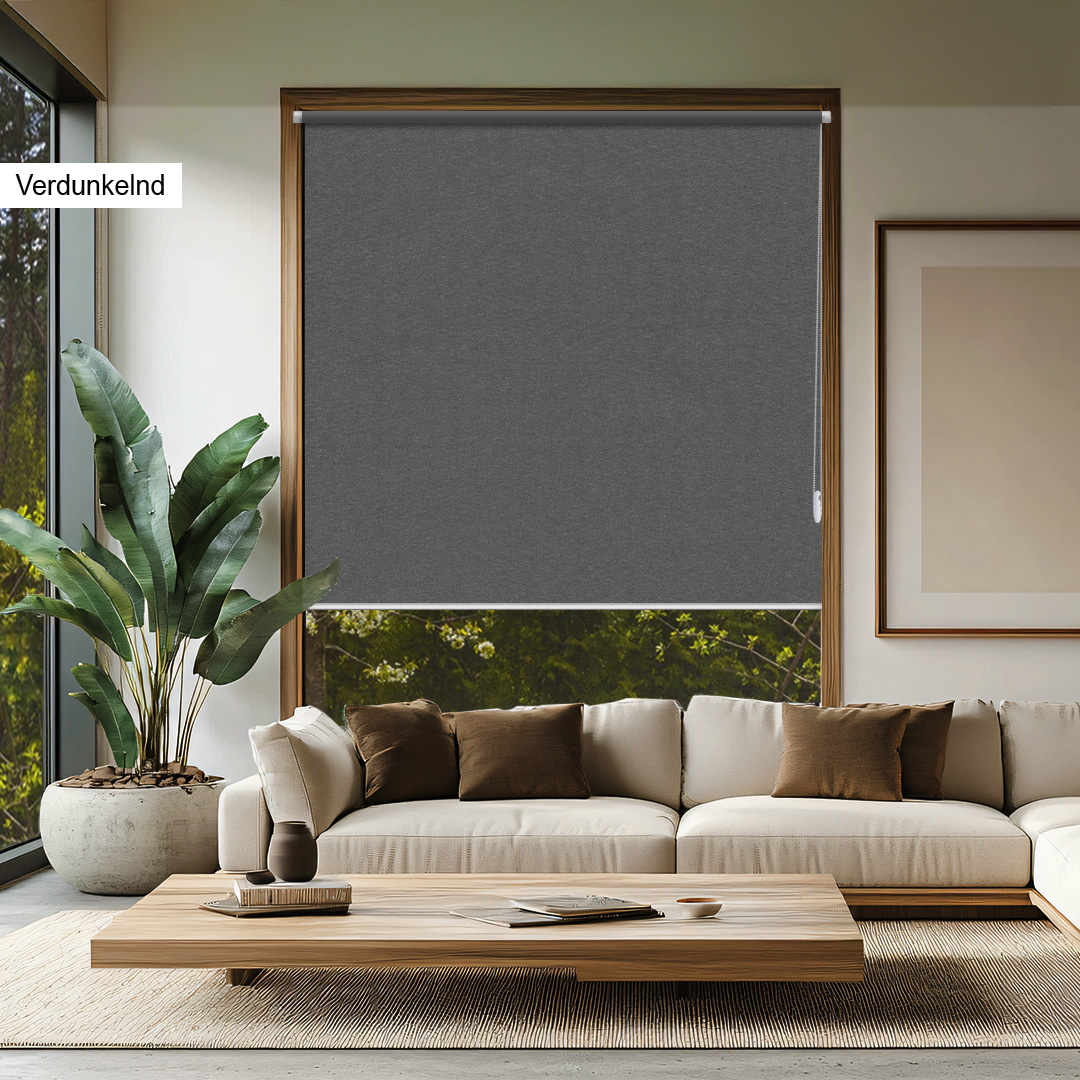 Rollo VD Basic grau Rollo VD Basic grau