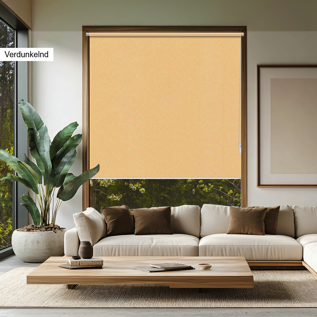 Rollo VD Basic beige Rollo VD Basic beige